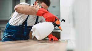 Best Pest Prevention Services  in Rden, WA